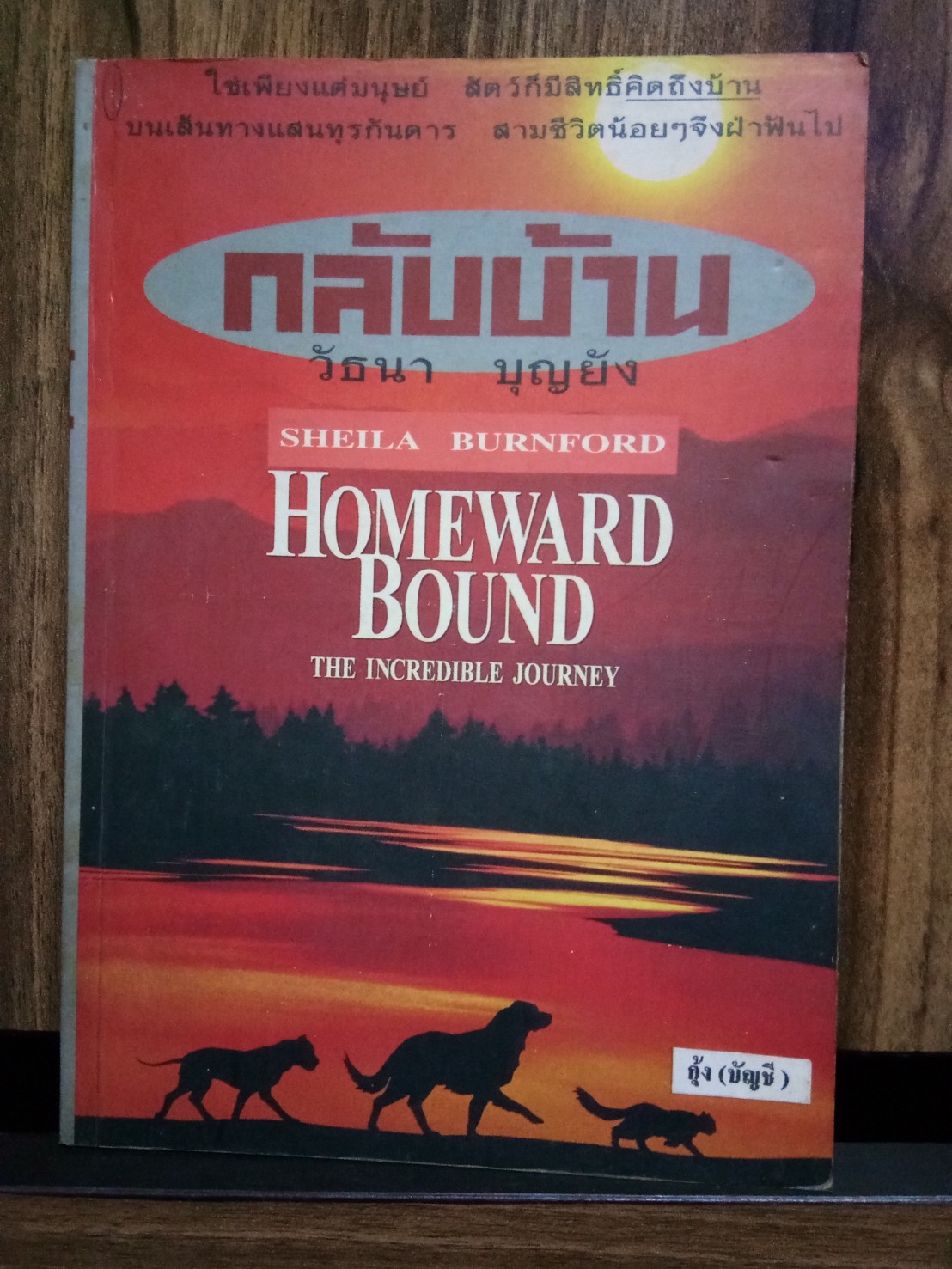 กลับบ้าน (Homeward Bound)